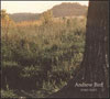 Andrew Bird