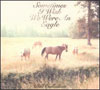 Bill Callahan