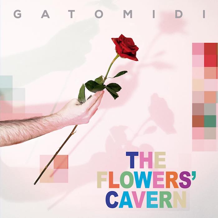 Gatomidi