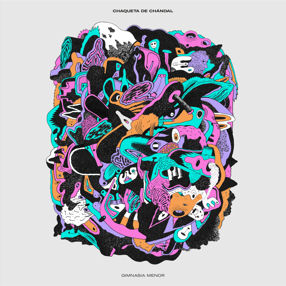 Chaqueta de Ch�ndal